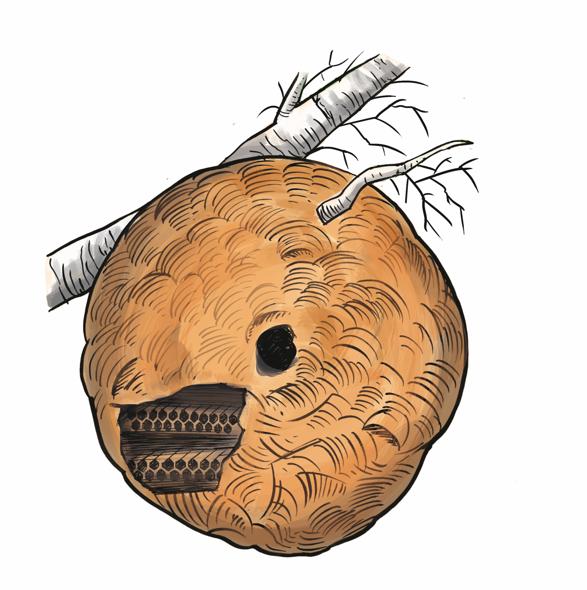 Leeg secundair nest