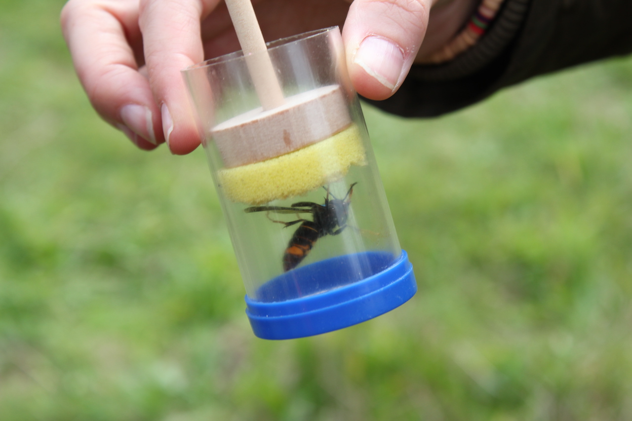 Stamper in merkbuisje